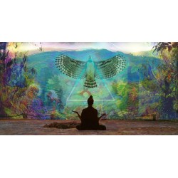 Relaxamento e meditação com ayahuasca