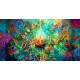 Ayahuasca Visions